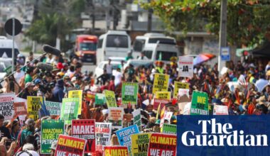 More than 300 big agriculture lobbyists have taken part in Cop30, investigation finds | Cop30
