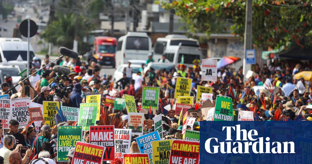 More than 300 big agriculture lobbyists have taken part in Cop30, investigation finds | Cop30