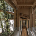 House in the Forest / Vasconcelos Arquitectura + Espacio Tangible - Image 4 of 27
