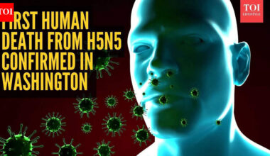 Washington man dies after H5N5 infection: What it is and prevention tips explained