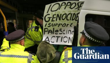 Palestine Action ban could lead to people being wrongly criminalised, Home Office official says | Palestine Action