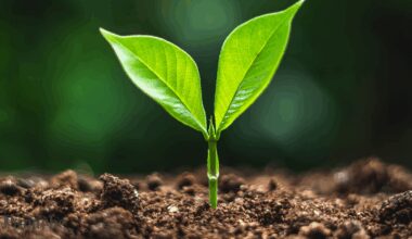 Secret behind life on Earth may be hiding right below us: Scientists reveal surprising clues from 1,800 miles beneath the surface