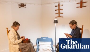 Frances McDormand on her adult-sized cradle art project: ‘It’s not performative, it’s experiential’ | Frances McDormand