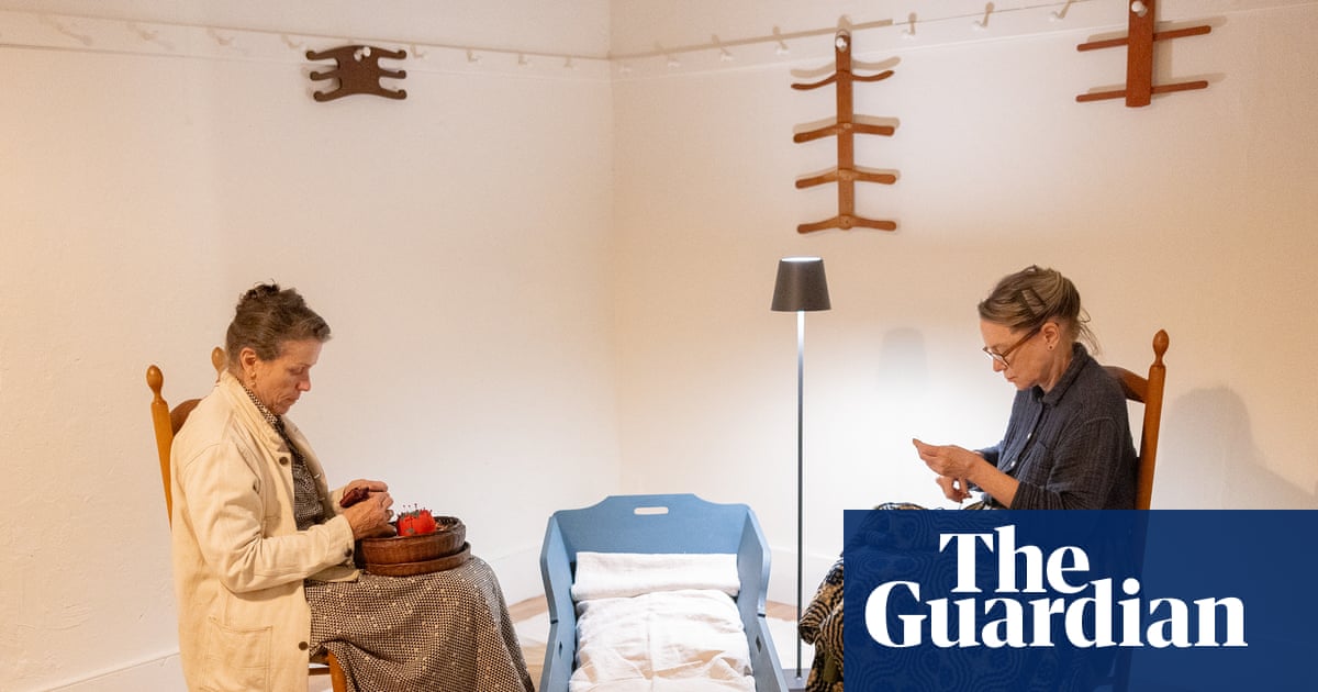 Frances McDormand on her adult-sized cradle art project: ‘It’s not performative, it’s experiential’ | Frances McDormand
