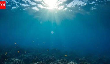 Mysterious structures under the Pacific: What scientists found beneath the ocean floor could reshape Earth's history |