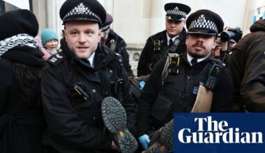 Ban on Palestine Action is repugnant and should be lifted, high court told | Palestine Action