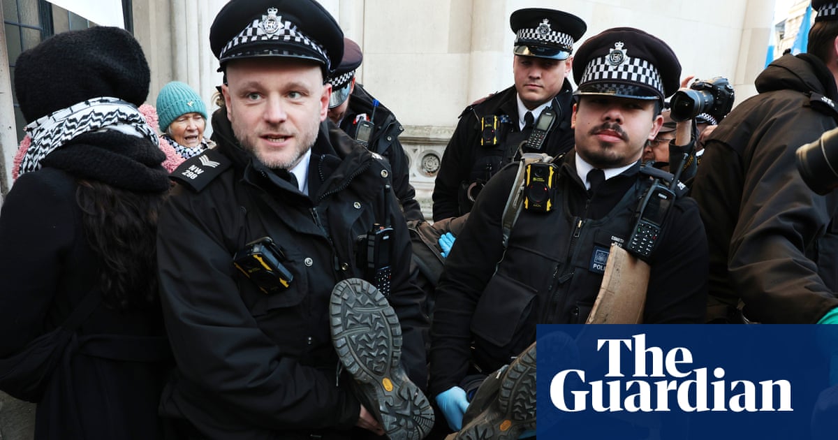 Ban on Palestine Action is repugnant and should be lifted, high court told | Palestine Action