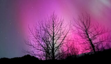 Here’s Where Aurora Could Be Visible Over Thanksgiving