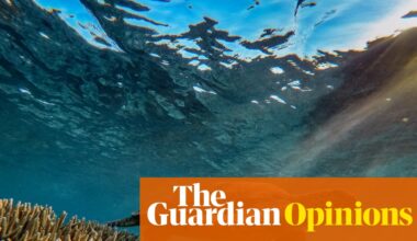 The rewriting of Australia’s nature laws come as a relief, yet I can’t help feel a sense of foreboding | Georgina Woods
