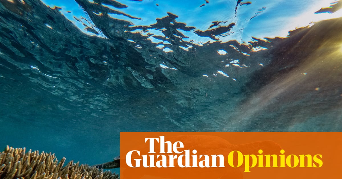 The rewriting of Australia’s nature laws come as a relief, yet I can’t help feel a sense of foreboding | Georgina Woods