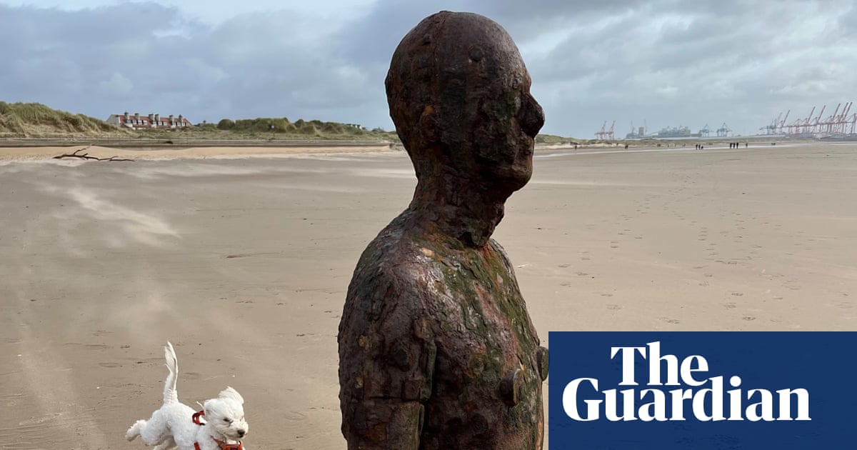 ‘When I saw what I captured I felt a Muybridge-like joy’: Roger Tooth’s best phone picture | Photography