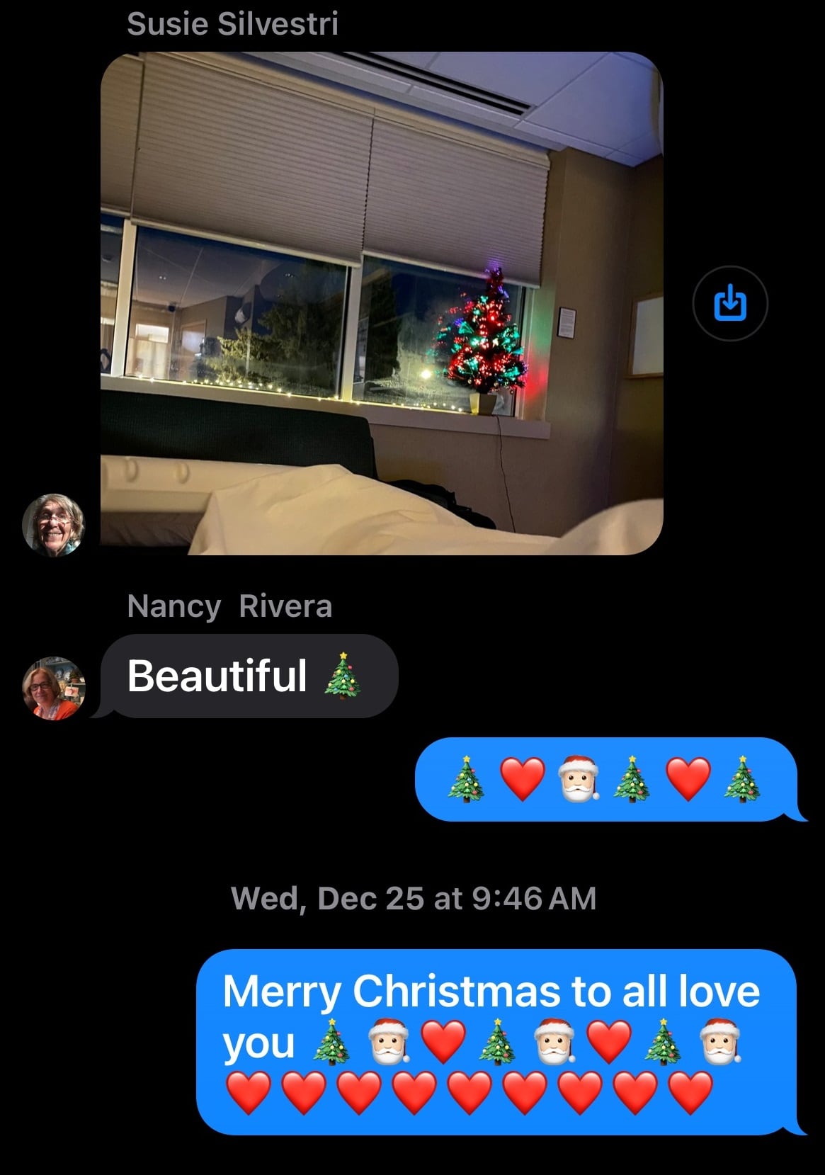 Susie sends her family group chat a picture of a Christmas tree and they respond by wishing Merry Christmas. 