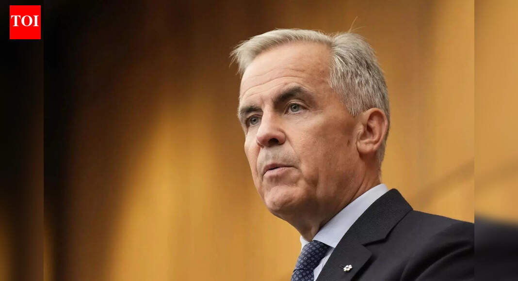 Prime Minister Mark Carney tells Canadians: US tariff will wipe $50 billion from Canada's economy, and for you ...
