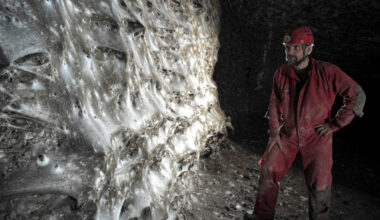 Massive spider web home to more than 100,000 spiders discovered in cave