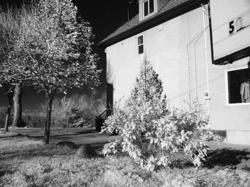A black and white photo of a house with bushes and trees in the yard. The sunlight highlights the leaves, creating strong contrasts. Part of a sign with numbers is visible on the right side of the image.