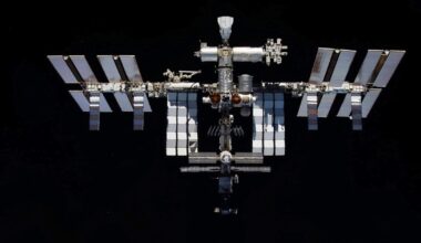 Moss survived in space for nine months, study finds