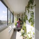 Pré de l’Enclos 2 Housing Rehabilitation / SOL Architecture & Urbanisme - Interior Photography, Glass