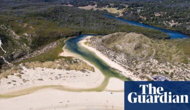 WA windsurfer escapes with bitten board after great white shark encounter at popular surf spot | Western Australia