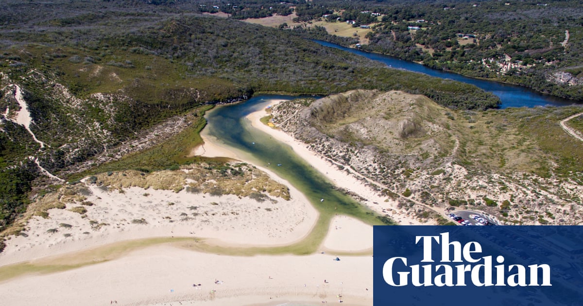 WA windsurfer escapes with bitten board after great white shark encounter at popular surf spot | Western Australia