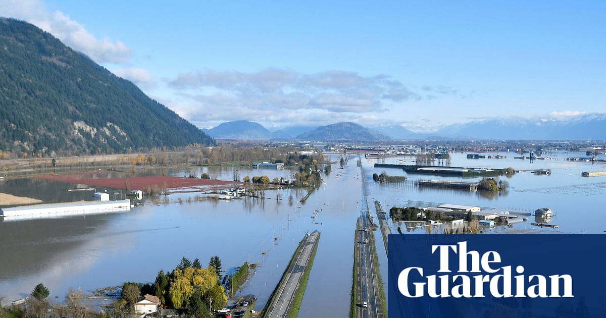 ‘Without our expertise, mistakes get made’: the Cop30 campaign to give workers a voice | Environment