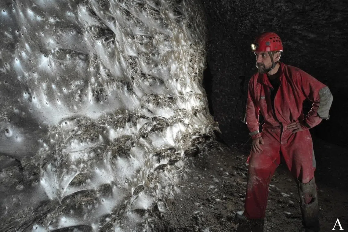 The web stretches for about 1,140 sq ft