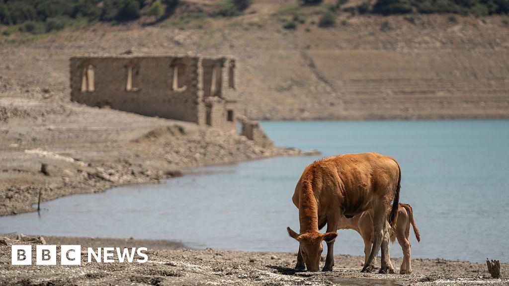 What is the Paris climate agreement and why does 1.5C matter?