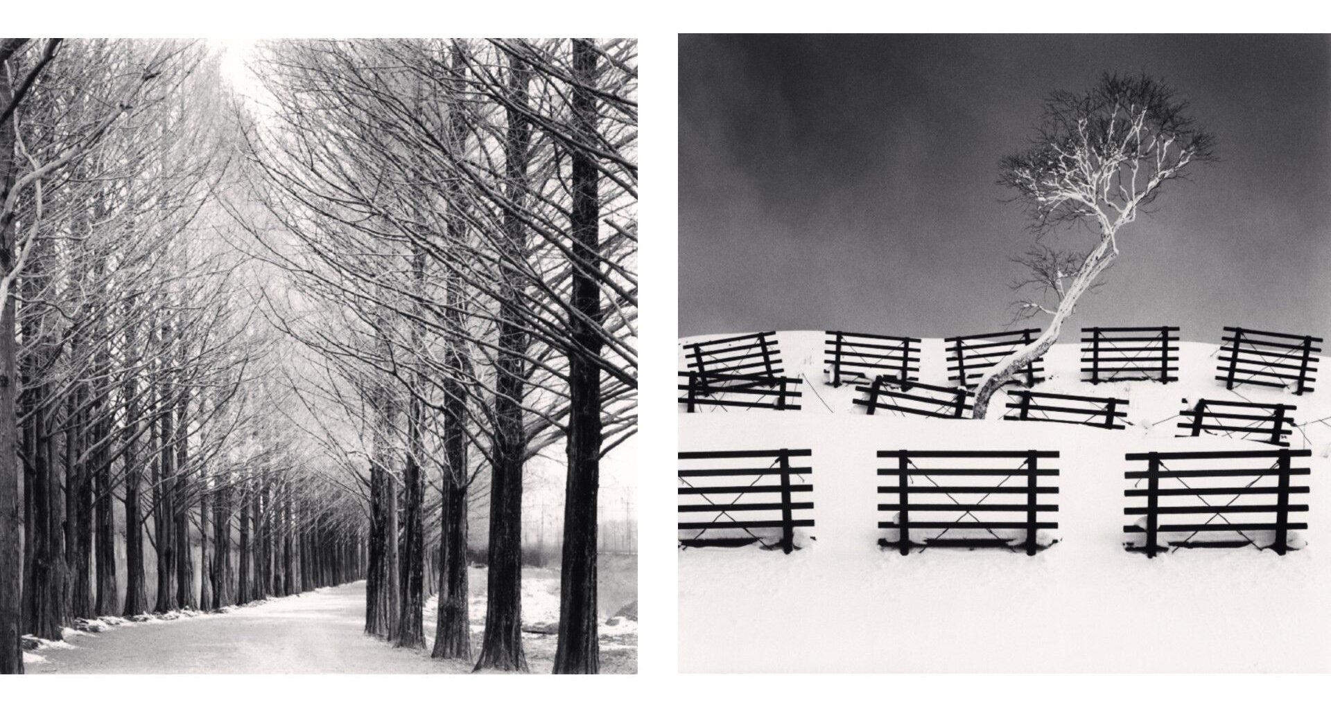 A black and white diptych where the left image shows a road lined on both sides by tall, bare trees, and the right image features a small, white-canopied tree on a snowy hill surrounded by dark, horizontal wooden fences.