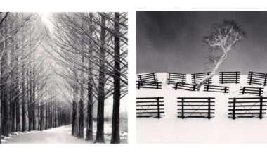 A black and white diptych where the left image shows a road lined on both sides by tall, bare trees, and the right image features a small, white-canopied tree on a snowy hill surrounded by dark, horizontal wooden fences.