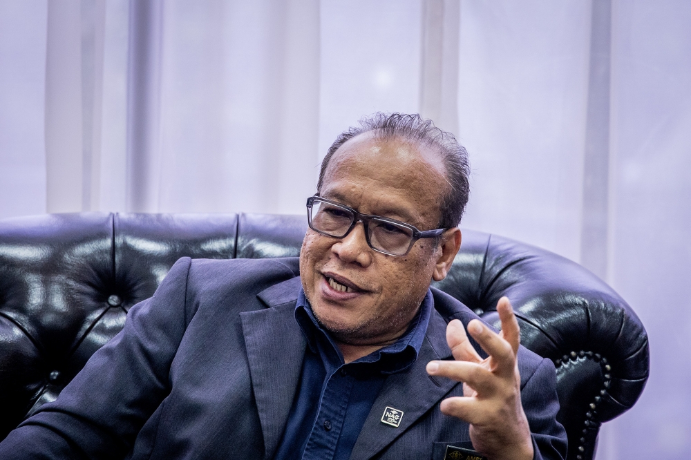 Director-general of the National Art Gallery Amerrudin Ahmad speaks during an interview with Malay Mail. — Picture by Firdaus Latif