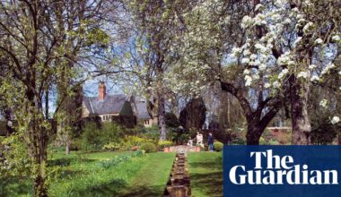 ‘Sustainable’ Cambridge busway will cause irreversible ecological harm, inquiry told | Environment