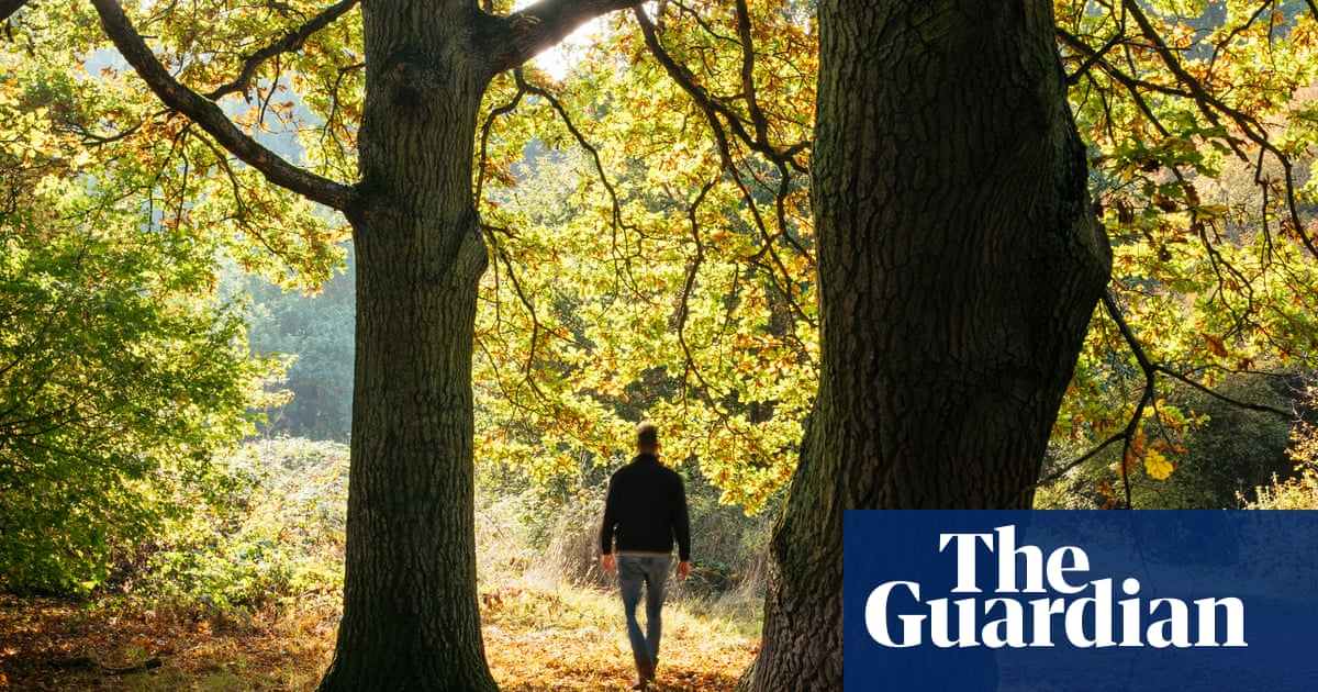 Britain one of least ‘nature-connected’ nations in world – with Nepal the most | Environment