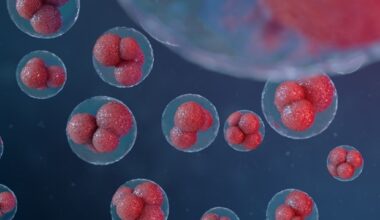 New signaling molecule drives development of tissue resident memory T cells