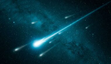 Leonids meteor shower over North America