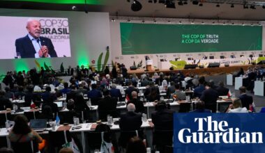Who are the major players at Cop30 and what do they want? | Cop30