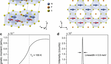 Ultranarrow electroluminescence from magnetic excitons in the van der Waals antiferromagnetic semiconductor NiPS3