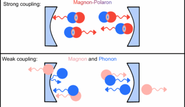 Magnon-polaron control in a surface magnetoacoustic wave resonator