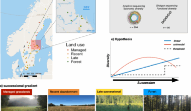 Functional diversity of soil microbial communities increases with ecosystem development