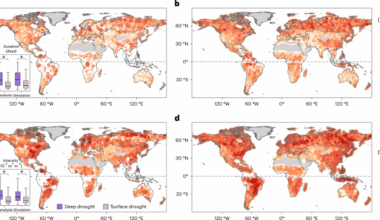 Anthropogenic enhancement of subsurface soil moisture droughts