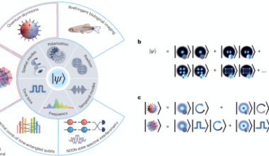 Progress in quantum structured light