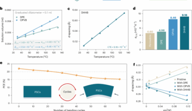 In situ dynamic regulation of strain at the buried interface of stable perovskite solar cells
