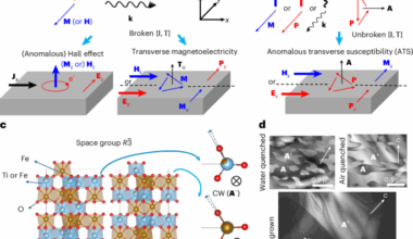 Electric toroidal invariance generates distinct transverse electromagnetic responses