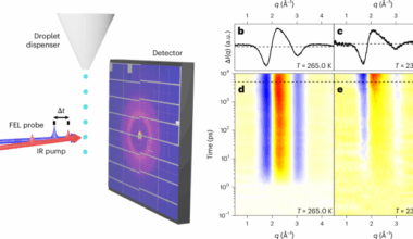 Observation of a dynamic transition in bulk supercooled water