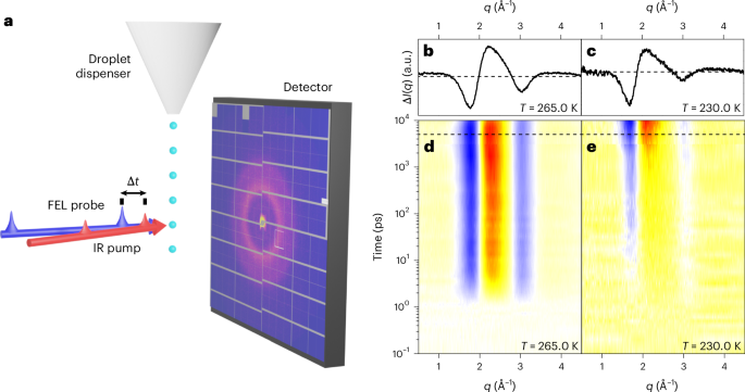 Observation of a dynamic transition in bulk supercooled water
