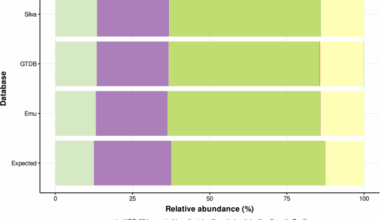 Profiling of vaginal microbial communities in Chilean women via self-sampling and nanopore sequencing