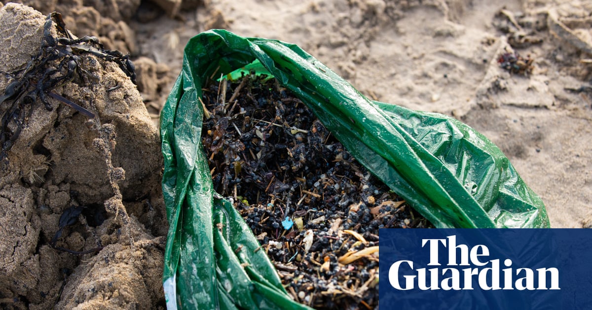Southern Water apologises for catastrophic spill of plastic biobeads in Sussex | Water