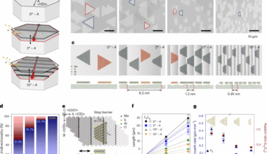 Single-crystalline monolayer semiconductors with coherent quantum transport by vicinal van der Waals epitaxy