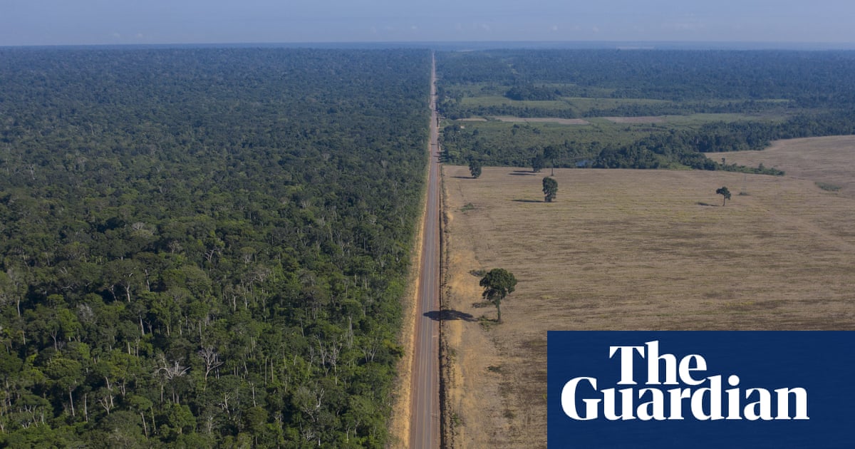 How could Tropical Forest Forever fund proposed at Cop30 tackle deforestation? | Cop30