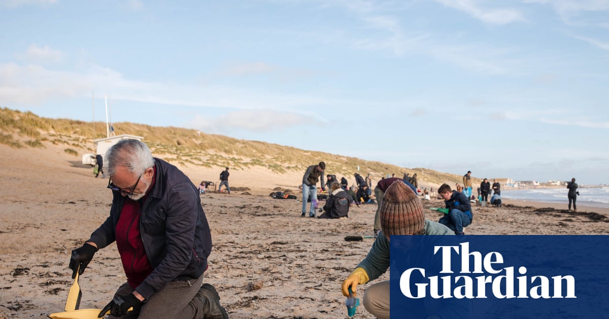‘We feel we’re fighting a losing battle’: the race to remove millions of plastic beads from Camber Sands | Coastlines