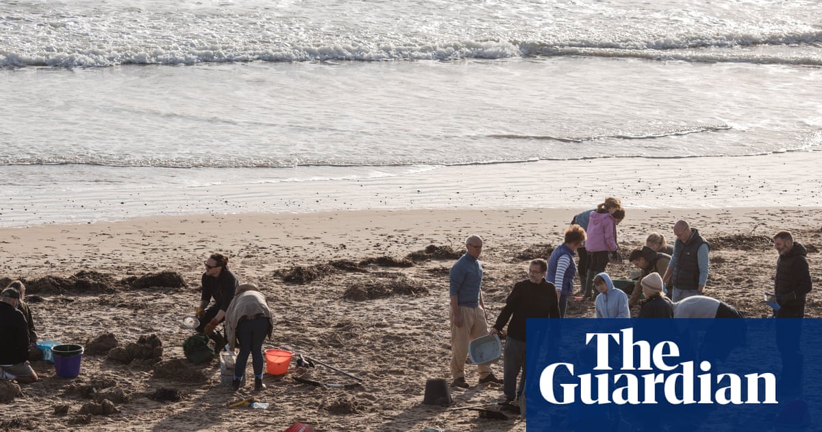 At least 15 English sewage plants use plastic beads spilled at Camber Sands | Pollution