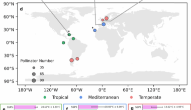 Warming demands extensive tropical but minimal temperate management in plant-pollinator networks